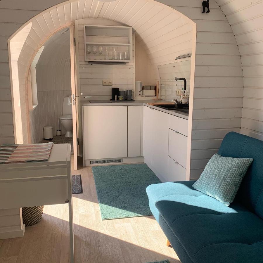 Kuldallika Igloo House And Iglusauna Kullamae Exteriér fotografie